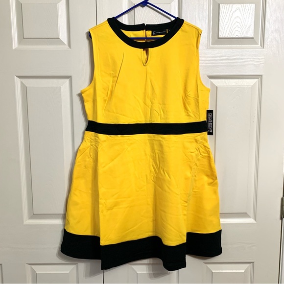 New York & Company Piped Flare Dress - City Knits - Picture 4 of 6